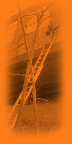 EIFS-Inspector-on-Ladder